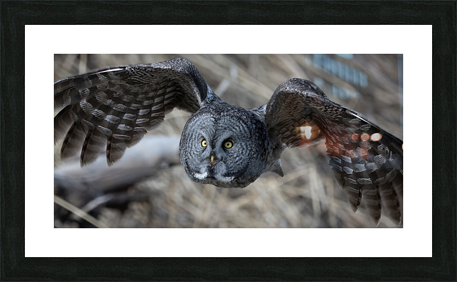 GGO 3060 Acry Picture Frame print