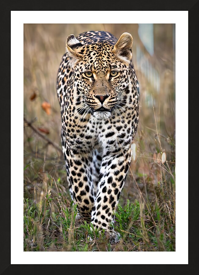 NBC081323434 Enhanced NR Edit Edit Picture Frame print