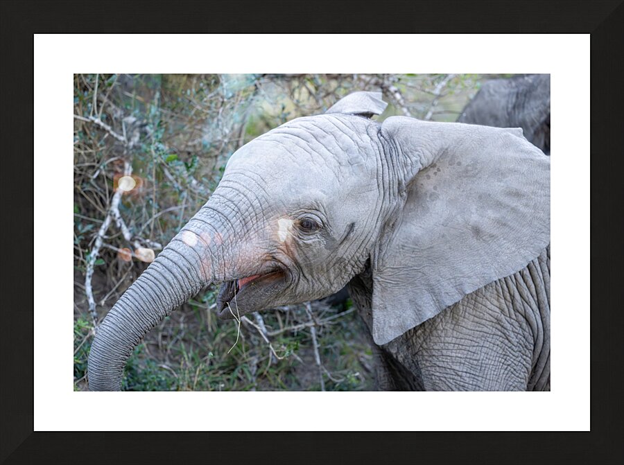 NBC081123043 Enhanced NR Picture Frame print