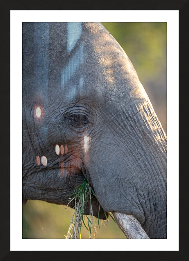 NBC081123075 Picture Frame print