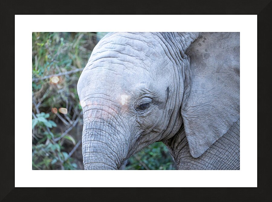 NBC081123040 Enhanced NR Picture Frame print