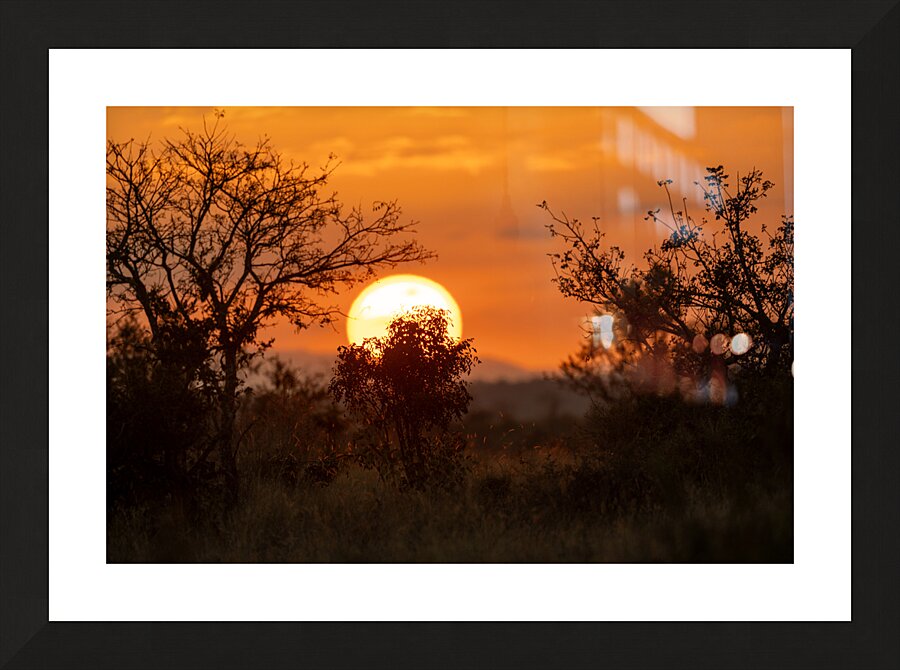 NBC081123086 Picture Frame print