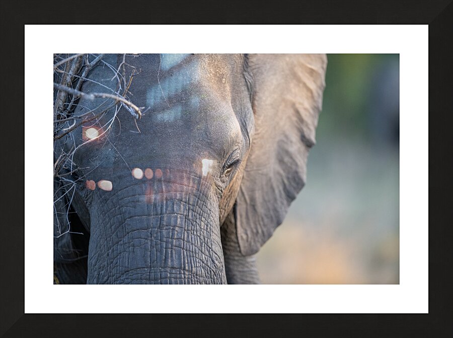 NBC081123071 Picture Frame print