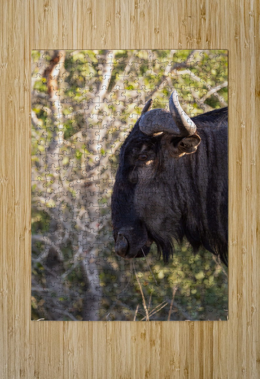 NBC081123046 Enhanced NR Edit Photos by SMA Puzzle printing