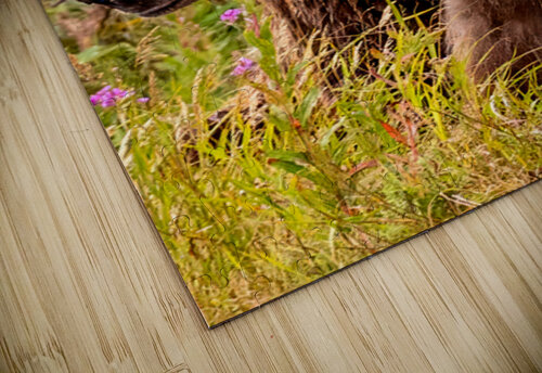 Morraine20240822 0310 Edit Photos by SMA puzzle