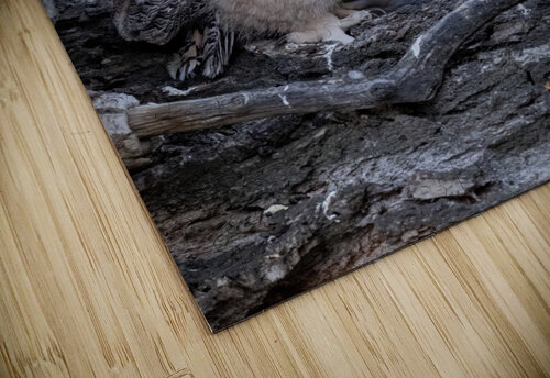 Three GHO 36x48 Photos by SMA puzzle