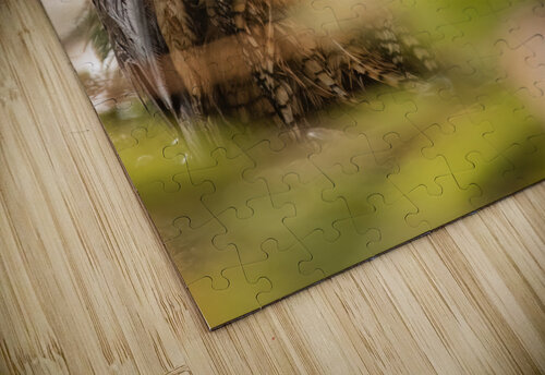 GHO 3648 Canv Photos by SMA puzzle