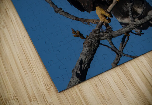 Eagle 3648 Canv Photos by SMA puzzle