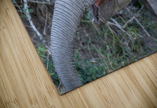 NBC081123043 Enhanced NR Photos by SMA puzzle