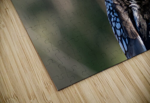 NBC081123004 Enhanced NR Photos by SMA puzzle