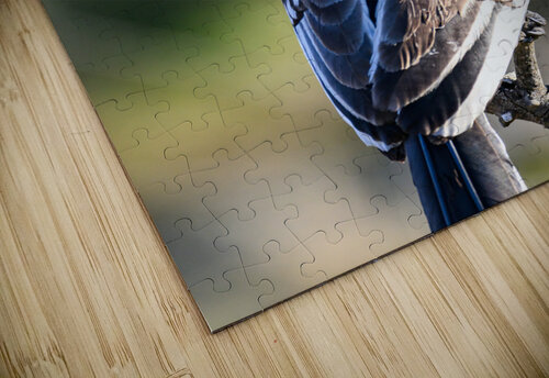 Z91 3120 Photos by SMA puzzle