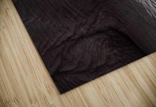 Z91 3172 Photos by SMA puzzle