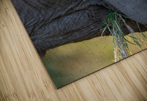 NBC081123075 Photos by SMA puzzle