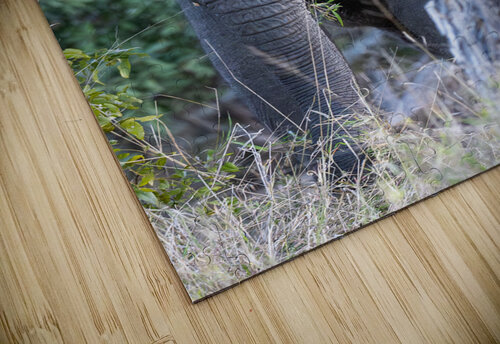 NBC081123066 Enhanced NR Photos by SMA puzzle