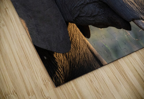 NBC081123054 Photos by SMA puzzle