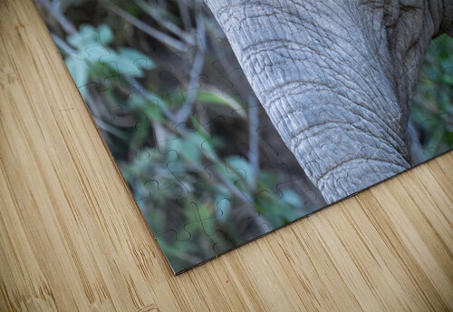 NBC081123040 Enhanced NR Photos by SMA puzzle