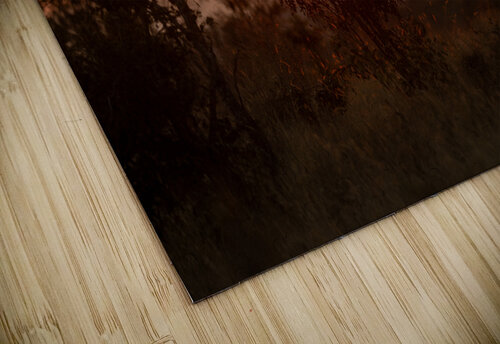 NBC081123086 Photos by SMA puzzle