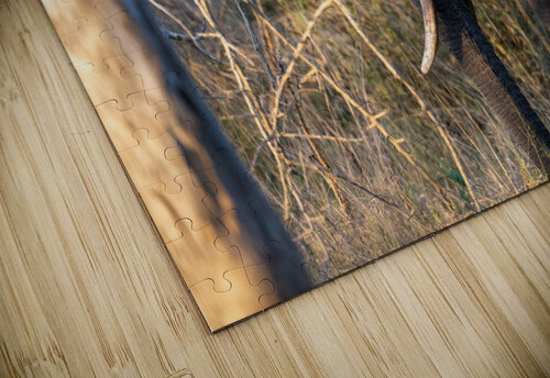 NBC081123060 Photos by SMA puzzle