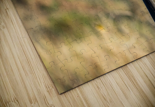 NBC081123002 Enhanced NR Photos by SMA puzzle