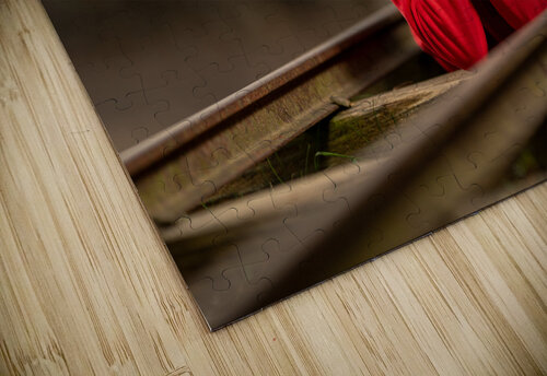 Z92 4513 Edit Photos by SMA puzzle