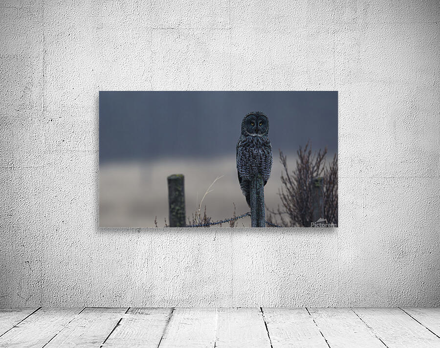 Calgary20220510 0135 Enhanced NR Edit Wall Preview