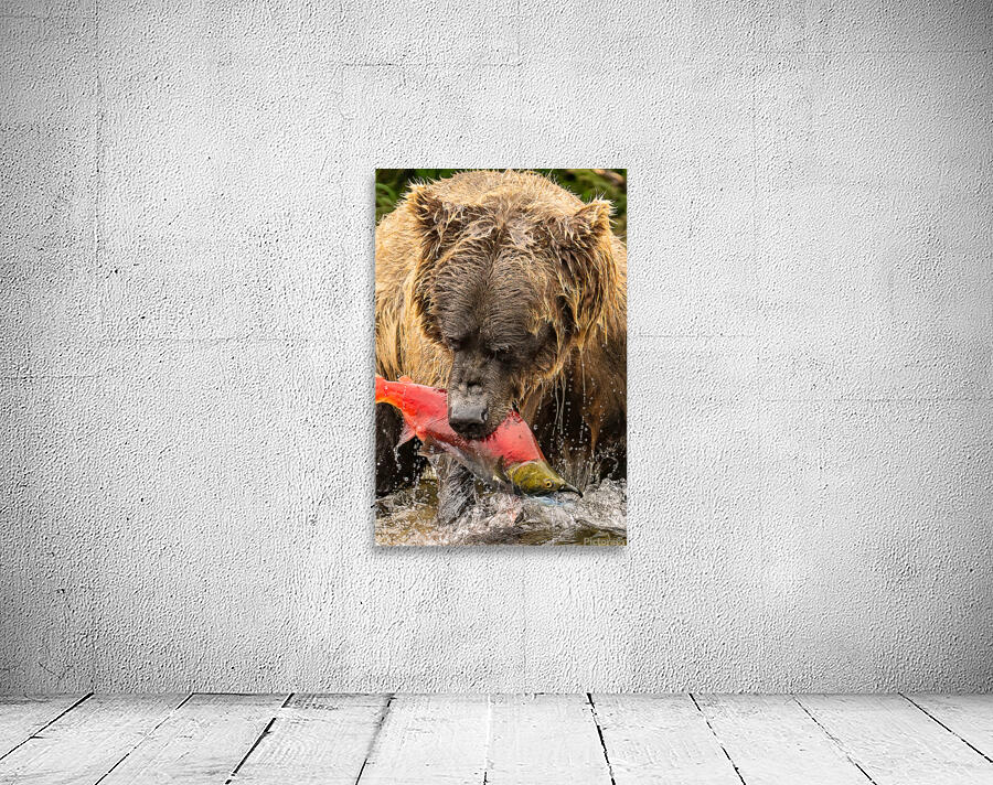 Z91 4633 Edit Wall Preview