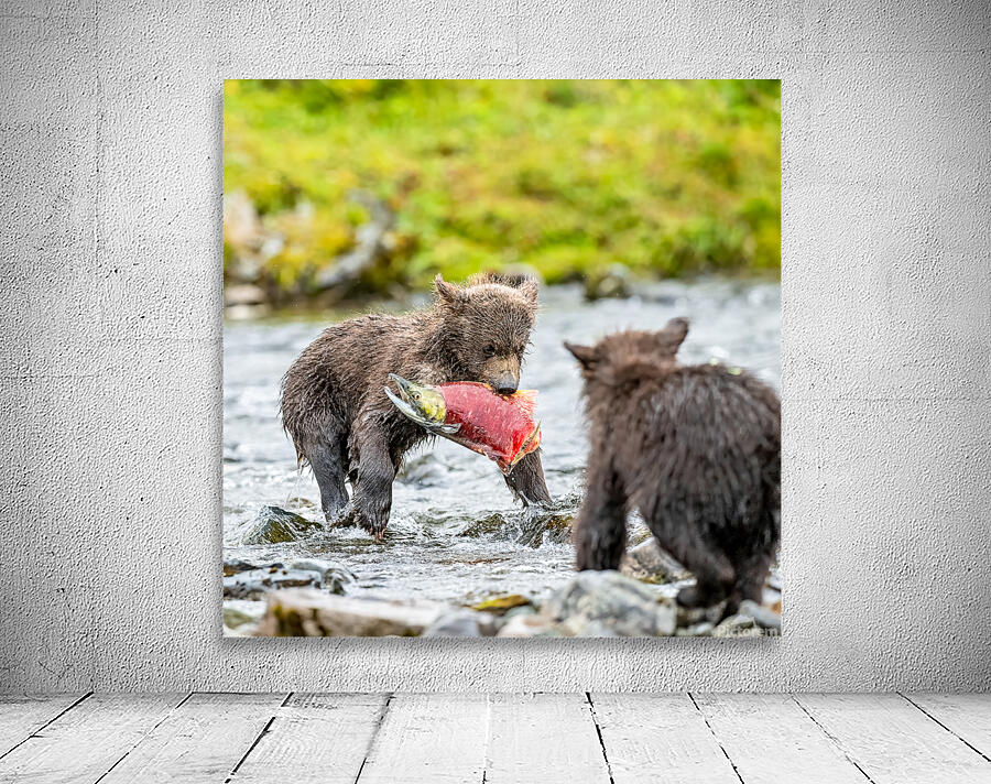 MIrror20240821 0745 Edit Wall Preview