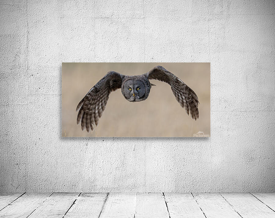 Calgary20220512 0616 Edit Wall Preview