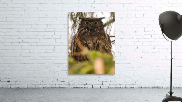 GHO 3648 Canv Wall Preview