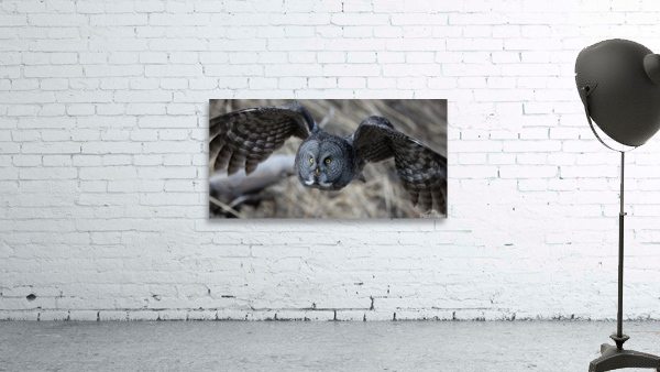 GGO 3060 Acry Wall Preview