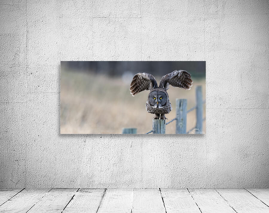 CalgaryGGO3060Canv Wall Preview