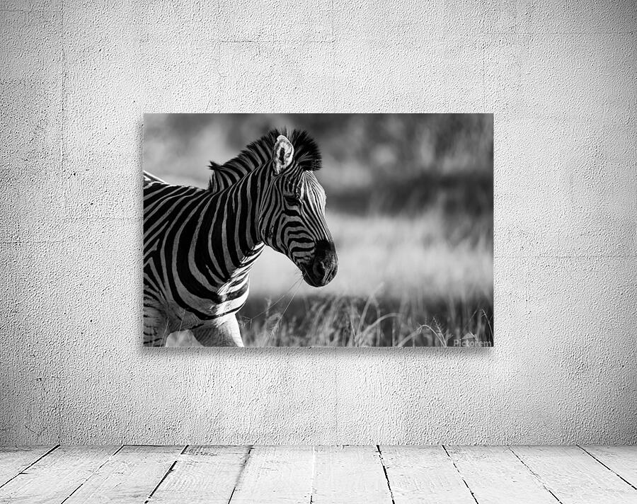 Z92 1533 Wall Preview