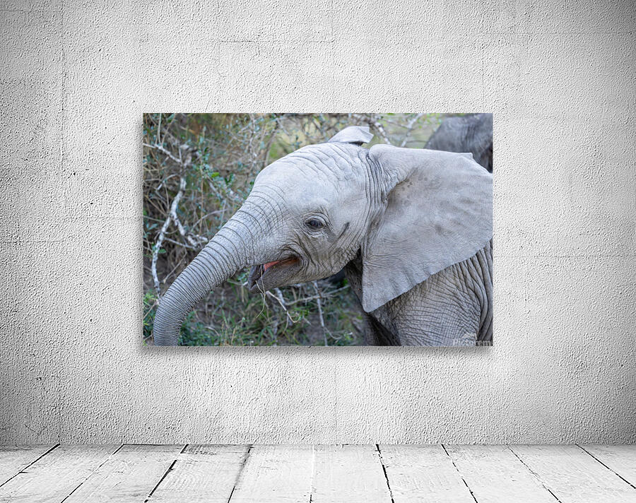 NBC081123043 Enhanced NR Wall Preview