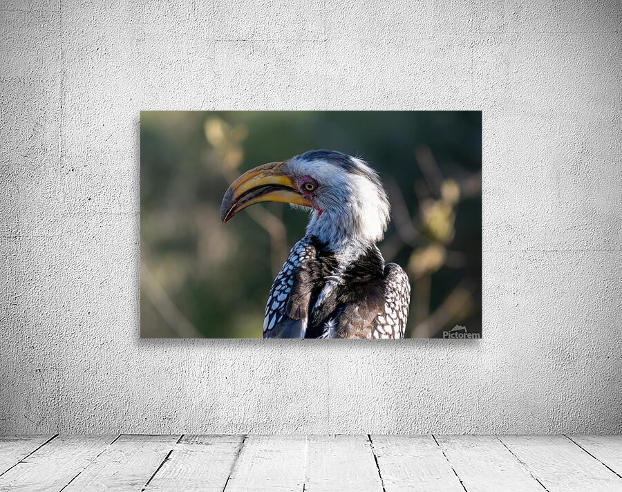 NBC081123004 Enhanced NR Wall Preview