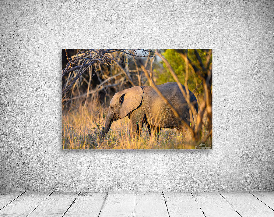 Z92 1579 Wall Preview