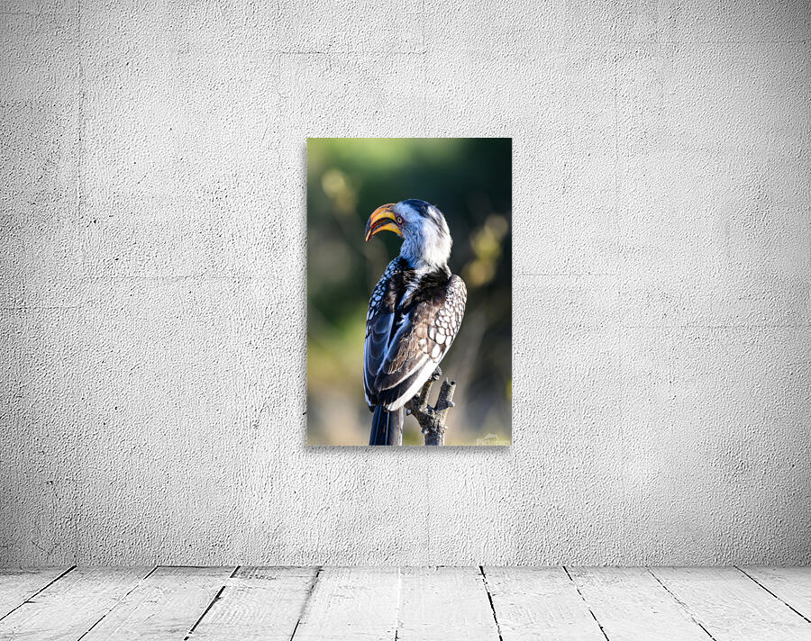 Z91 3120 Wall Preview