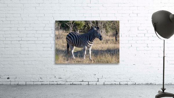 NBC081123010 Enhanced NR Wall Preview