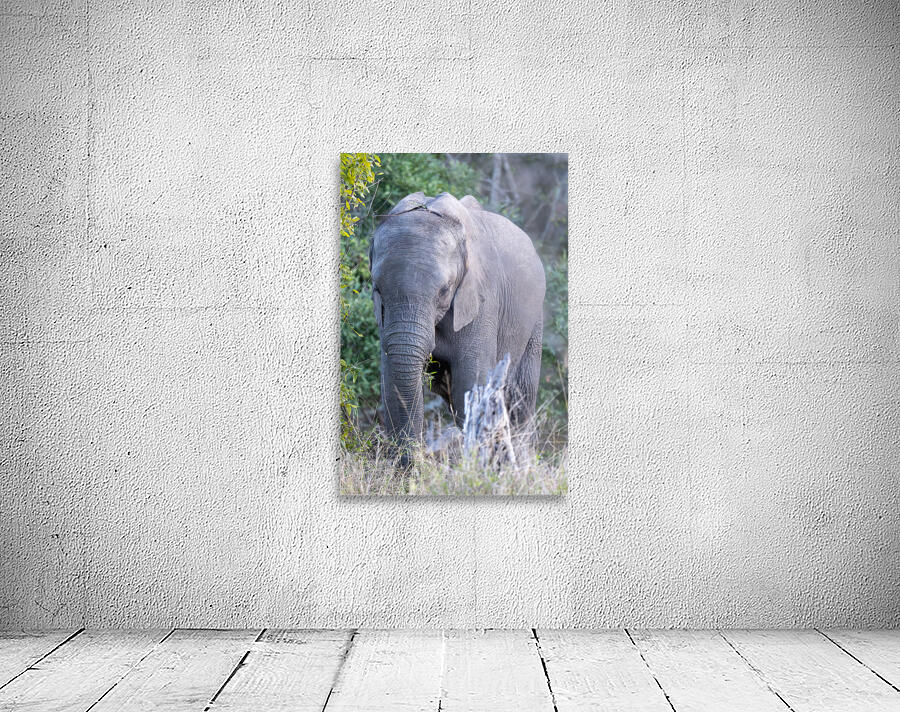 NBC081123066 Enhanced NR Wall Preview