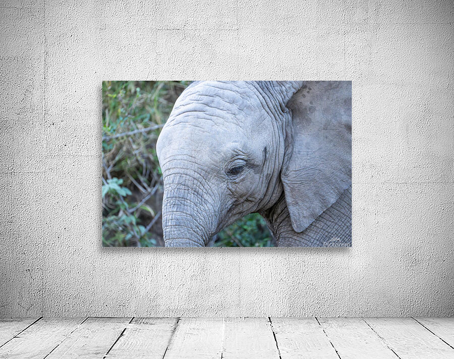 NBC081123040 Enhanced NR Wall Preview