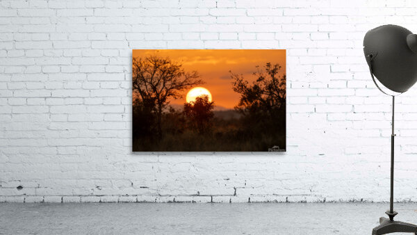 NBC081123086 Wall Preview