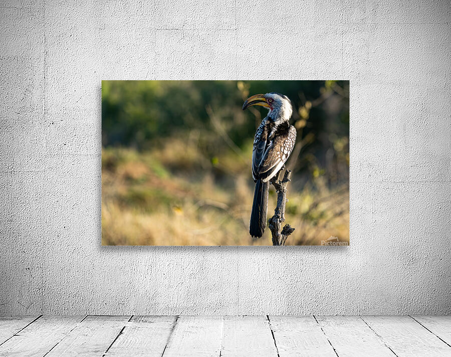 NBC081123002 Enhanced NR Wall Preview