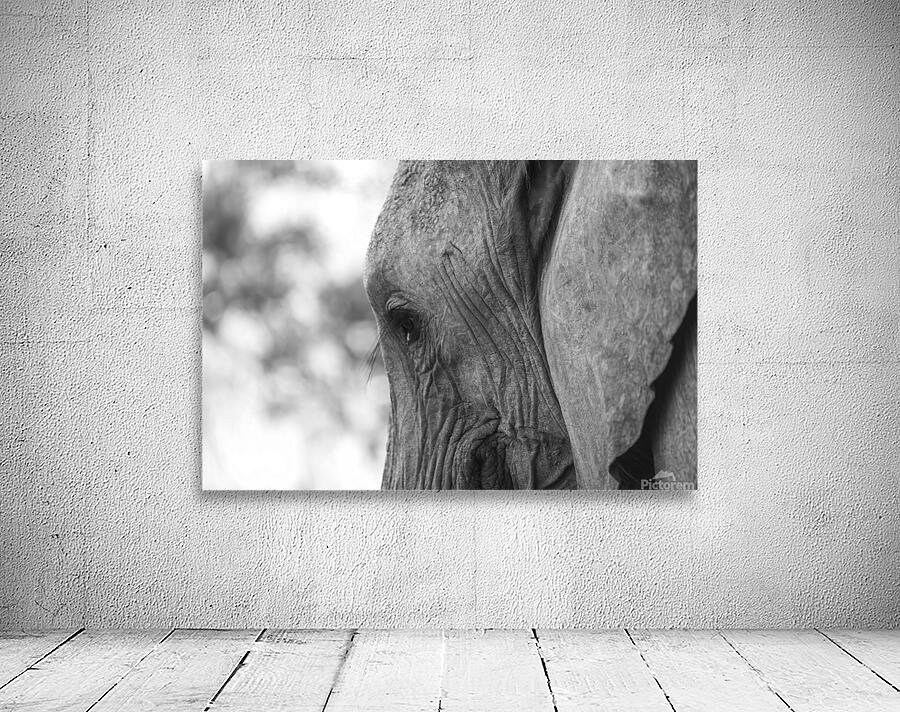 NBC081123037 Enhanced NR Wall Preview