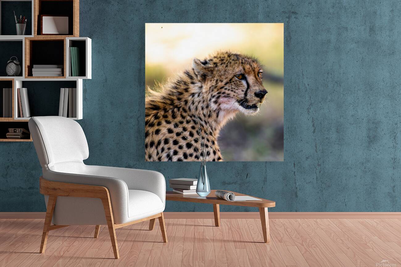 NBC081223686 Edit Reproduction