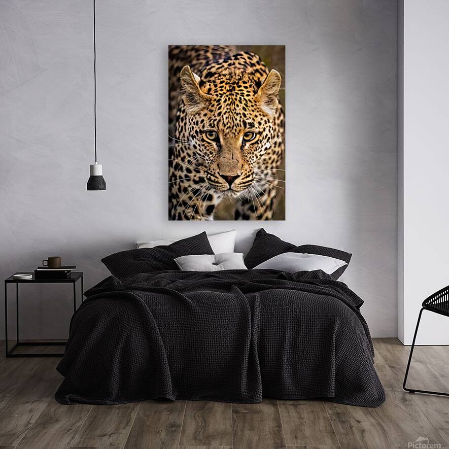 NBC081323445 Edit Reproduction