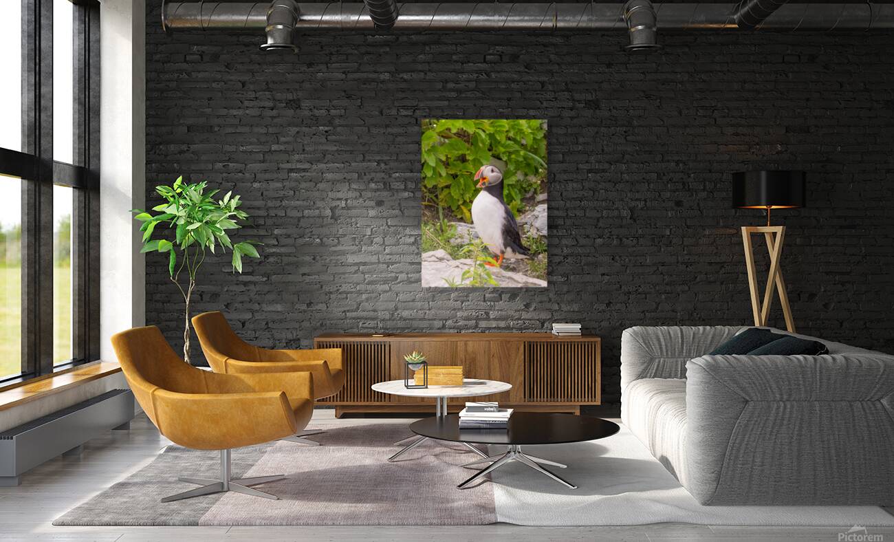 Z91 1832 Edit Reproduction