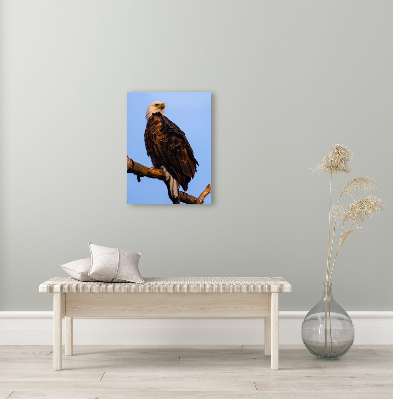 Eagle 36x48 Reproduction
