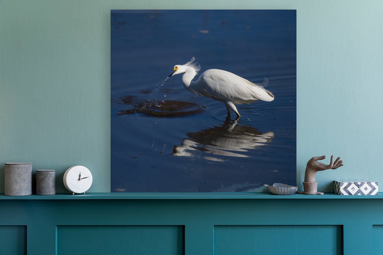 Egret 2020 Canv Reproduction