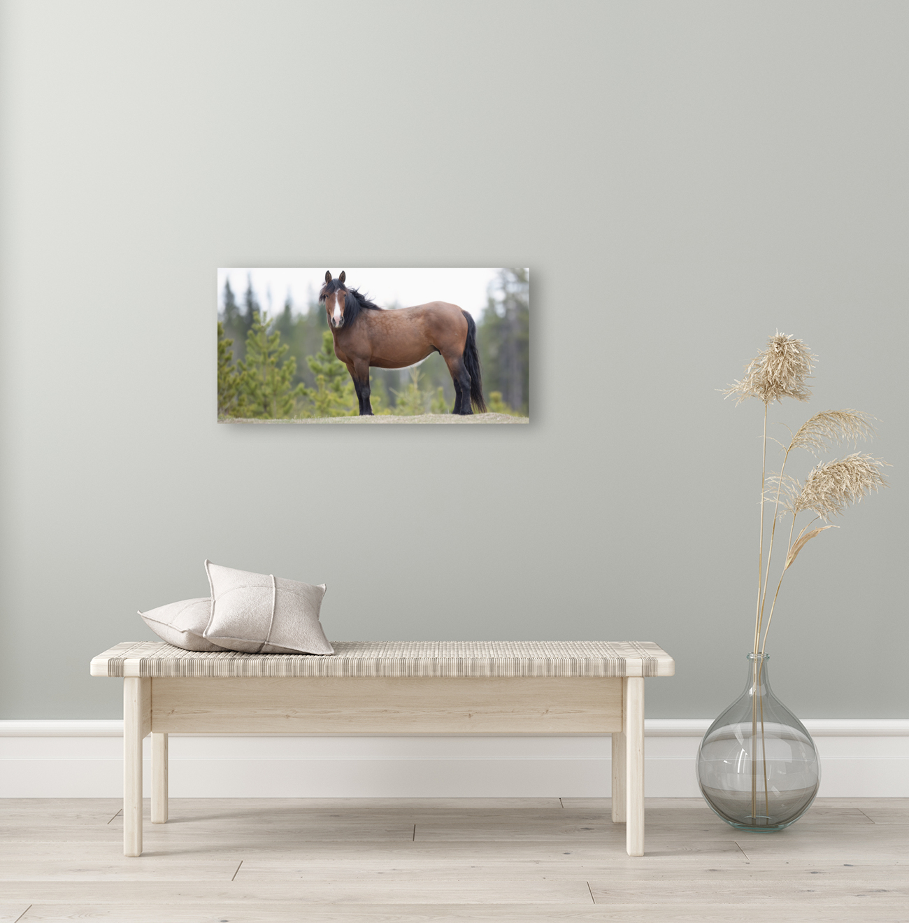 Stallion 3060 Acry Reproduction