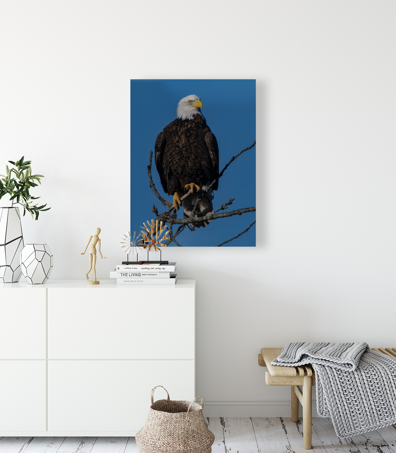 Eagle 3648 Canv Reproduction