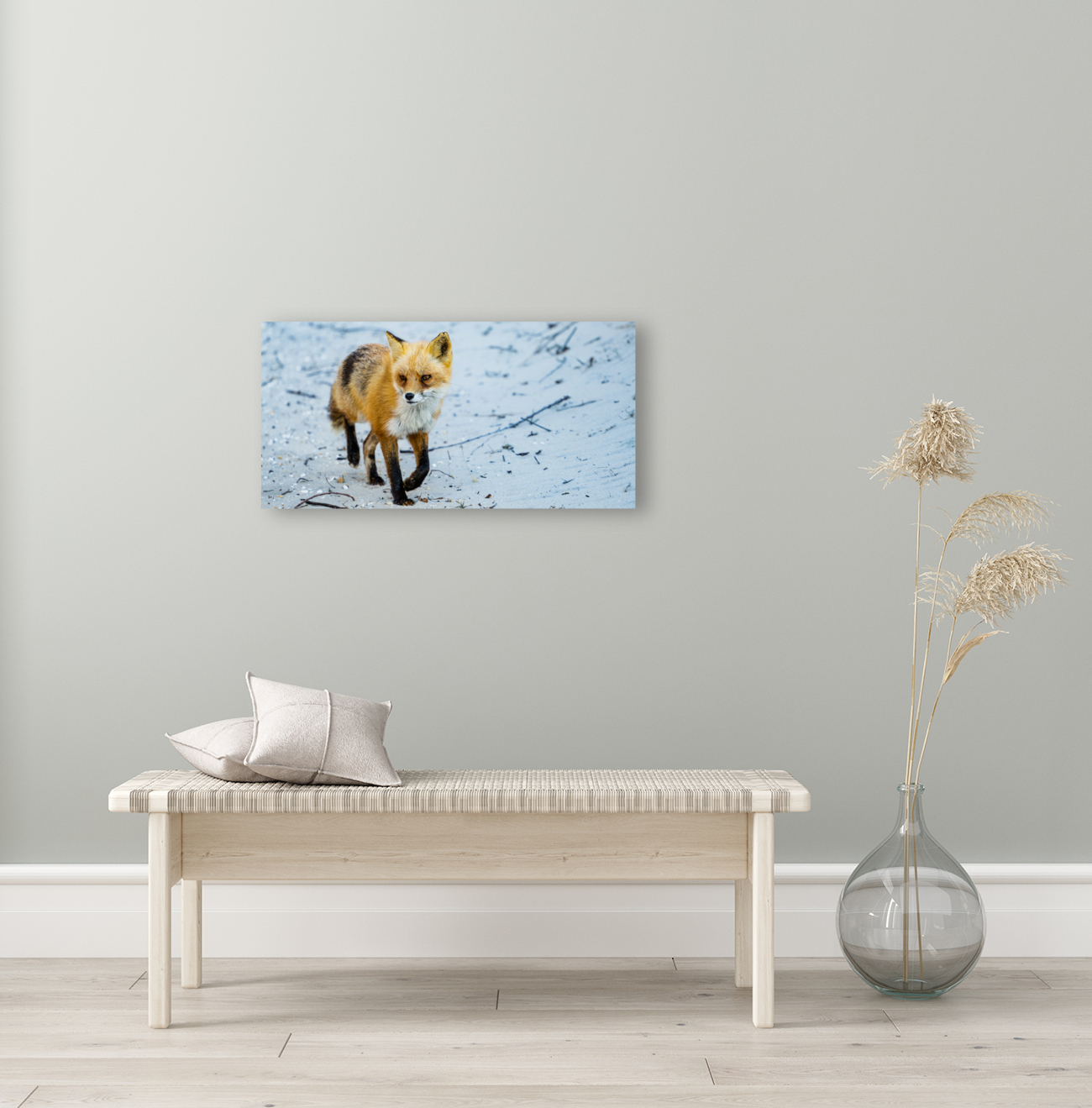 Fox 2448 Can Reproduction